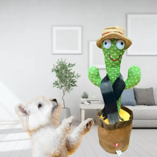 CACTUS BAILARIN